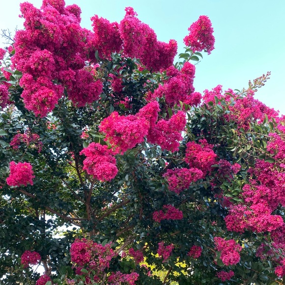 Meet your Posher, Miyuki - Picture 7 of 7